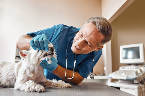 Best Cracked Tooth Emergency Dentist  in Enterprise, WV